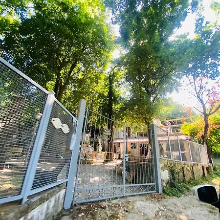 לינה וארוחת בוקר Rifugio Angelina 4*